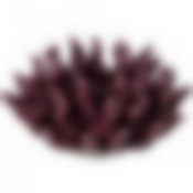 Подсвечник Актиния 12*12*7 см.