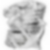 Подставка под бутылку Якорь 16*15*15.5 см. серия Dal mare