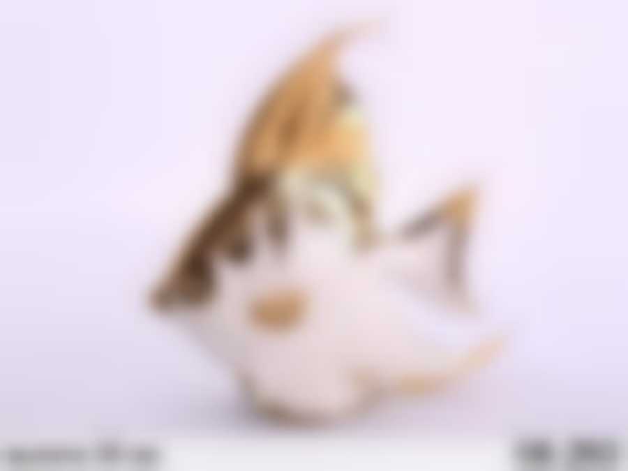 Фигурка "ЗОЛОТАЯ РЫБКА" высота=27 см.