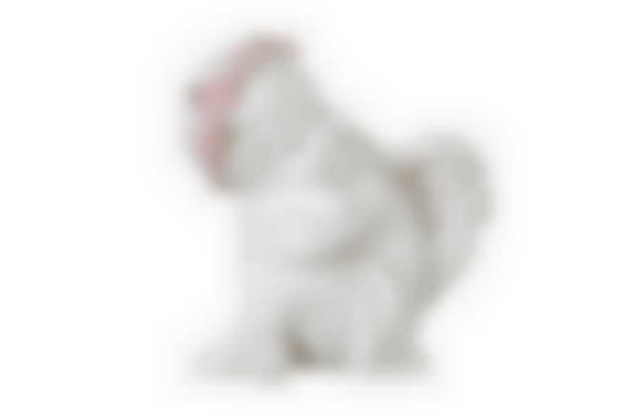 Фигурка коллекция Amore 10*8*13 см.