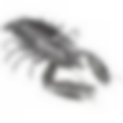 Подставка под бутылку Омар 89*61*18 см. серия Dal mare