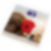 Весы напольные Собаки hottek ht-962-016 30*30 см макс.вес 180 кг