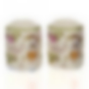 Набор для специй 2 пр."HERBAL" 5*4,5*7,3 см. без упаковки