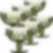 Набор креманок 400 мл 6 шт (цв. зеленый) LR (х4)