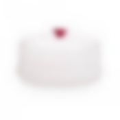 КРЫШКА ДЛЯ СВЧ d240 (цвет в ассортименте)