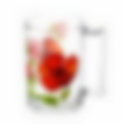 Кружка ФИТНЕС 320мл ЦВЕТЫ 1шт в ИПУ