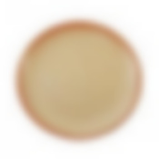 Тарелка плоская d21см (4) (16)  2КСТ-21