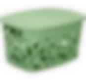 Коробка ФЛОРА  5,5л с крышкой (мята)