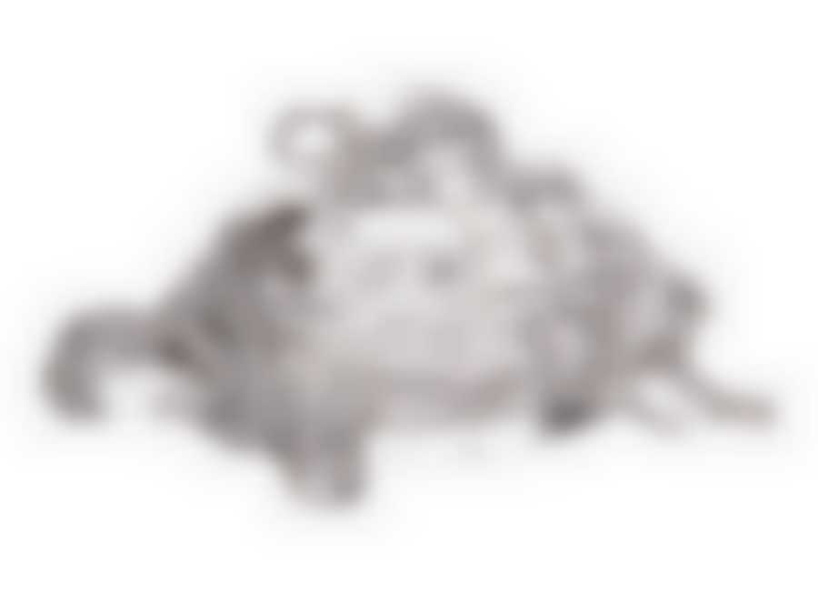 Шкатулка "ЧЕРЕПАХА" коллекция "МУЗА" 15 см.