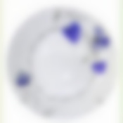 Тарелка обеденная "НАНСИ" 24 см