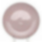 Тарелка  D - 18.8 см