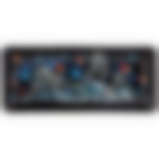 БЛЮДО 28*12 СМ. ВЫСОТА=3 см