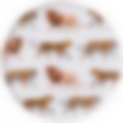 ТАРЕЛКА ОБЕДЕННАЯ LEFARD "ANIMAL WORLD" 24 СМ