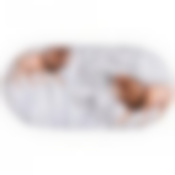 БЛЮДО LEFARD "ANIMAL WORLD" ЛЕВ ОВАЛЬНОЕ 20,5 СМ