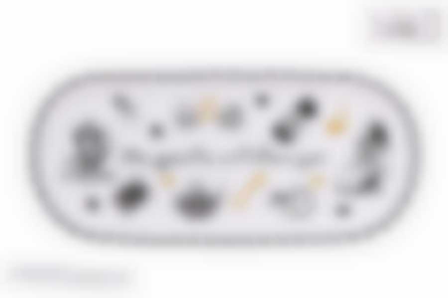 Блюдо овальное 33х15см "Безумное чаепитие" п/у