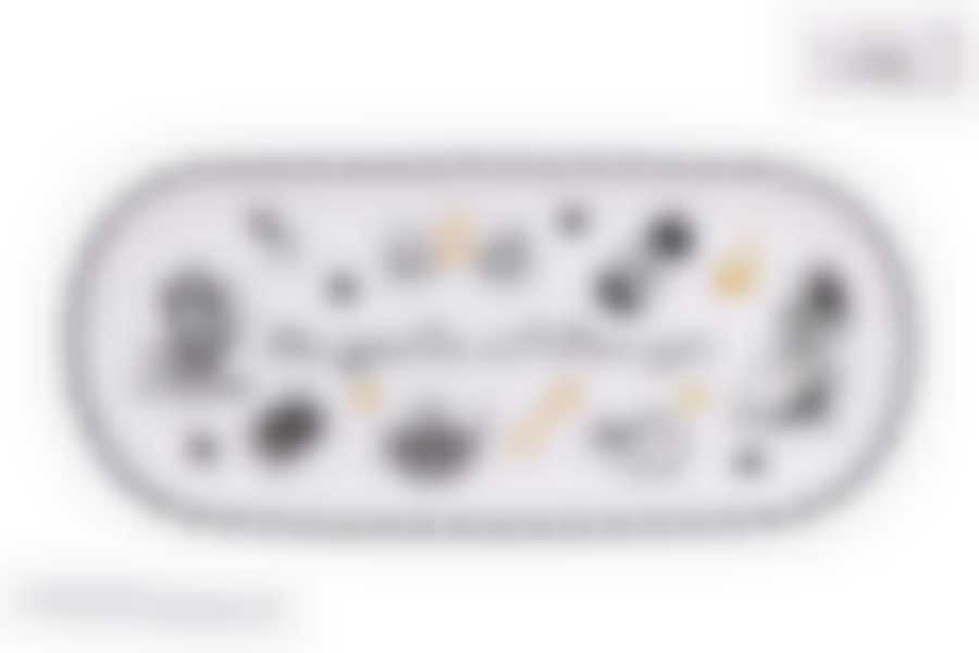 Блюдо овальное 25х11.5см "Безумное чаепитие" п/у