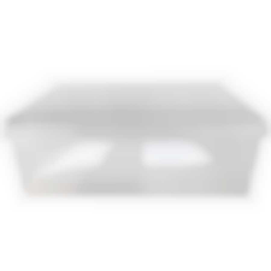 Коробка для хранения обуви, 33х12х21см 