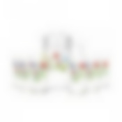 Набор питьевой ЭУФЛОРИЯ 7 предметов