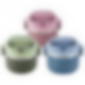 Ланч бокс 1000мл  (цв.  голубой, салатовый, розовый)