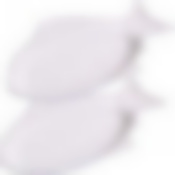 Набор блюд сервировочных 2 пр. фарфор LR