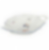 Блюдо Moritz Zdekauer Geese, 23*17 см