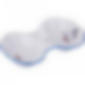 Набор для специй Moritz Zdekauer Geese, 13х8х5 см