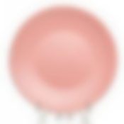 Тарелка плоская