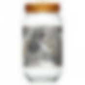 Емкость 1000 мл