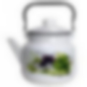 Чайник эмал  3,5л Базилик