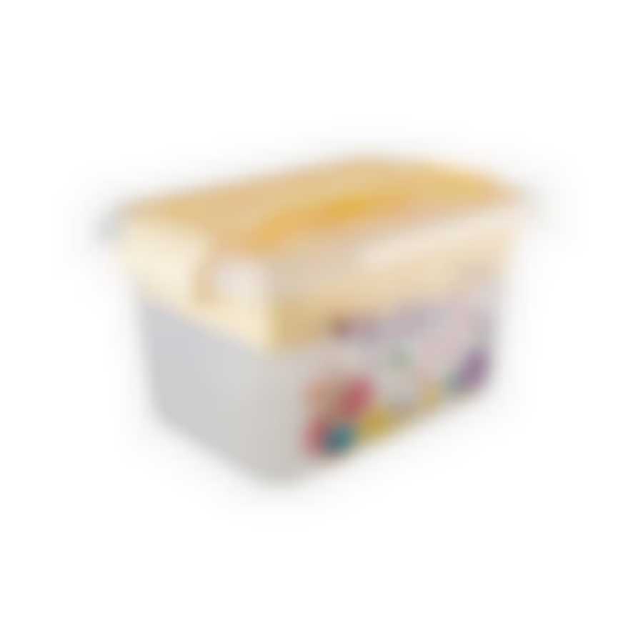 Контейнер с вкладышем М, 6л SMARTBOX HOBBY