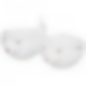 Менажница двойная Хрюшки винтажный стиль 20*12*10 см без упаковки