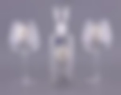 Набор для крепких напитков на 2 персоны Acampora