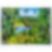 30x40-1 Часы настенные СЮЖЕТ в ассортименте