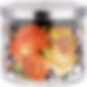 ЕМКОСТЬ ДЛЯ СЫПУЧИХ AGNESS "РОСКОШНЫЙ САД", 520 МЛ БОРОСИЛИКАТНОЕ СТЕКЛО