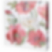 САЛФЕТКИ LEFARD МАКИ 33*33СМ, 3СЛОЯ, 20ШТ