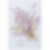 Доска разделочная Душа прованса 20*30*0.4 см 