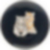 Тарелка обеденная  lefard  Top style  27 см серая 