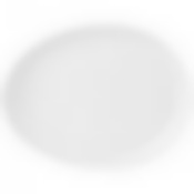 Блюдо овальное lefard emotion 33*26*4см 