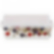 Блюдо квадратное с ручками и крышкой Ежевика 20,5см 