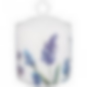 Банка с крышкой bronco Лаванда 15,5*10,5 см 