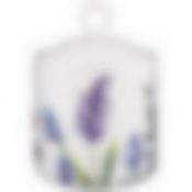 Банка с крышкой bronco Лаванда 13*9 см 