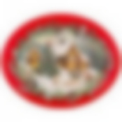 Блюдо овальное 31,5*25,5 см. высота=3 см. 