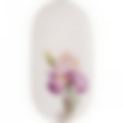 Блюдо овальное lefard Iris 20,5 см 