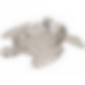 Блюдо декоративное Черепаха 22*25*6 см. 