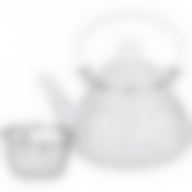 Чайник agness эмалированный с фильтром из нжс серия Вивьен 1,3 л