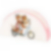 Салфетница Тигриные истории 13,5*4*7 см 