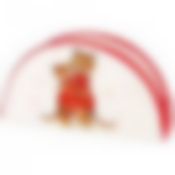 Салфетница Тигриные истории 13,5*4*7 см 