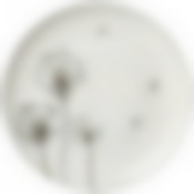 Тарелка обеденная lefard dandelion 27см 