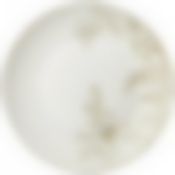 Тарелка десертная lefard parfum de fleur 20,5см 