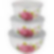 Набор мисок эмалирован. с пласт.крышками, серия Пленительная роза 6пр. 800/1200/1600мл 14/16/18 см